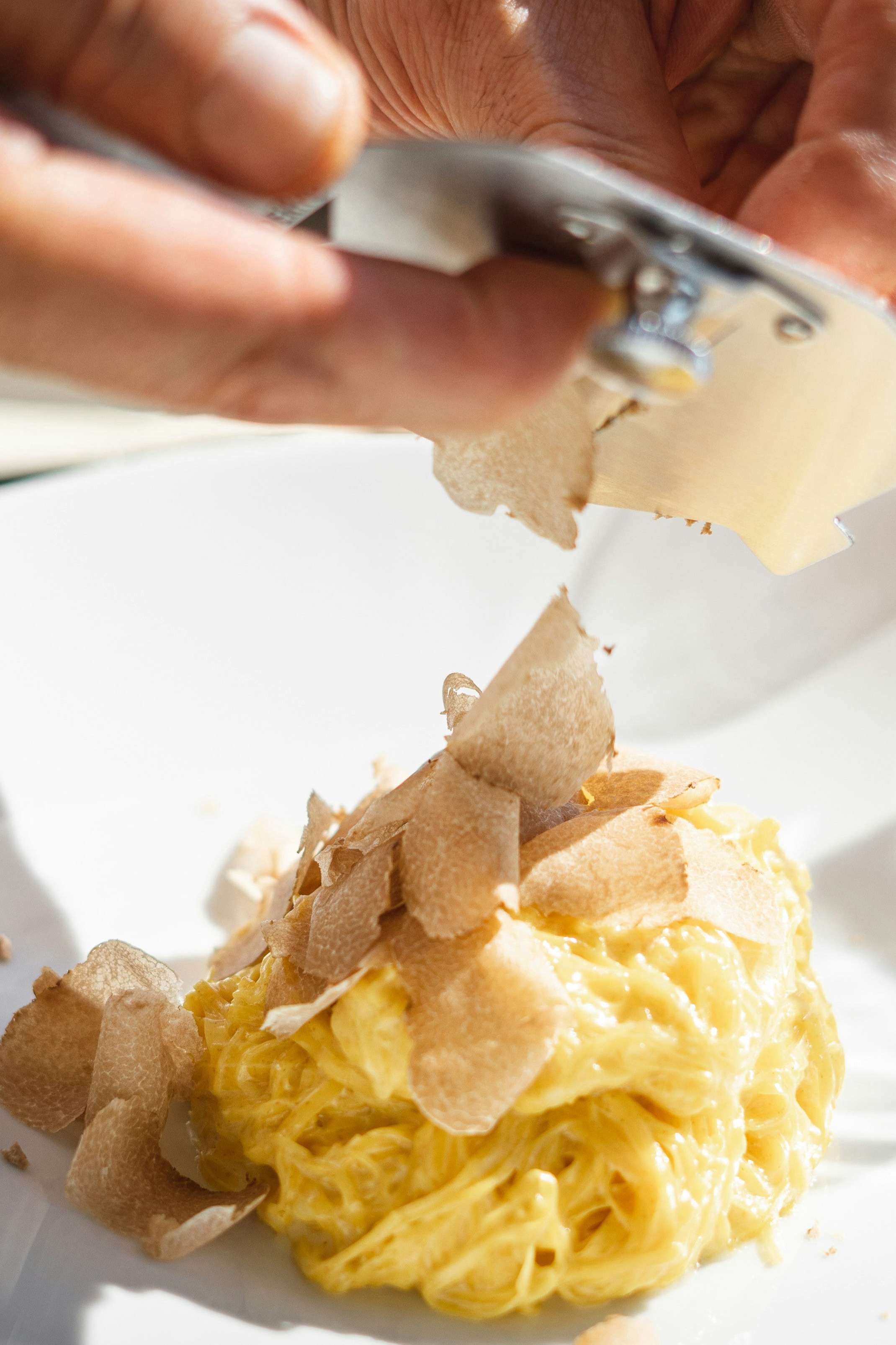 Tartufo - Casa Teresa Alba